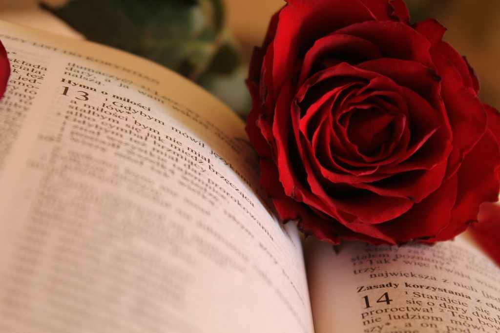 He Loves Me, He Loves Me Not: An Examination on the Ambivalence of Romantic Love