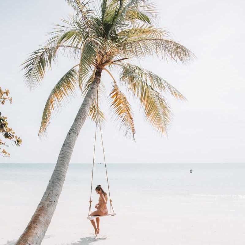 Tropical paradise